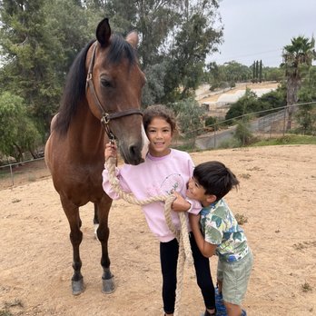 Blissful Farms - Horseback Riding Near Me - Riverside, California Blissful Farms - Horseback Riding Near Me - Riverside, California
