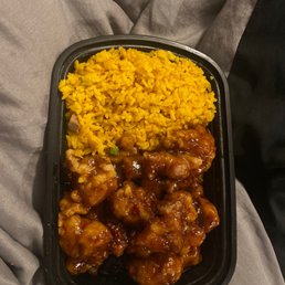 chicken and rice in a plastic container