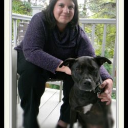 2 Eyez 4 Pawz Pet Sitting & Dog  Walking