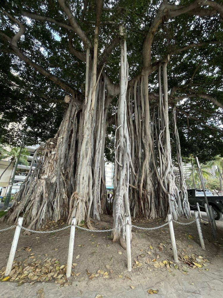 KUHIO BEACH HULA SHOW Kalākaua Ave, Honolulu, Hawaii Music Venues
