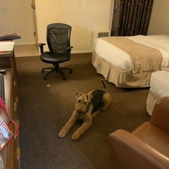 Windjammer Lodge - Pet friendly! - Hotels Near Me - Ogdensburg, New York Windjammer Lodge - Pet friendly! - Hotels Near Me - Ogdensburg, New York