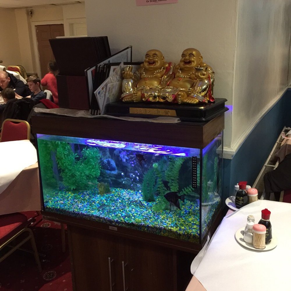 Happy Seasons - Chinese Near Me - Manchester, XGM Happy Seasons - Chinese Near Me - Manchester, XGM