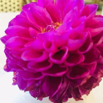 Sift Bake Shop - Table center piece - Bakeries Near Me - Mystic, Connecticut Sift Bake Shop - Table center piece - Bakeries Near Me - Mystic, Connecticut