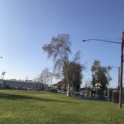 Layne Park
