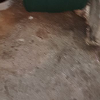 Dog House - Plumbing Near Me