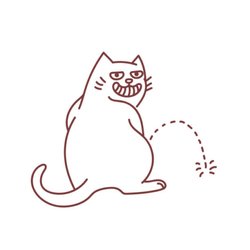 Cat Piss