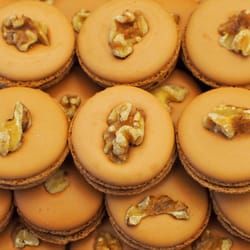 Lily Darling - Maple Walnut