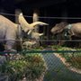 Photo of Dinosaur Park-Museum George S Eccles