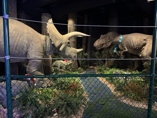 Ogden's George S. Eccles Dinosaur Park by null