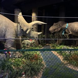 Dinosaur Park-Museum George S Eccles