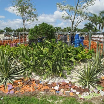 Isaac Farms - Nurseries & Gardening Near Me - Miami, Florida Isaac Farms - Nurseries & Gardening Near Me - Miami, Florida