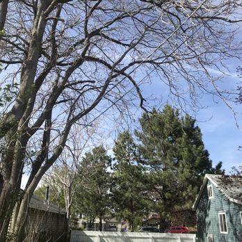 1. Unique Tree Service
