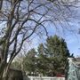 Photo of Unique Tree Service