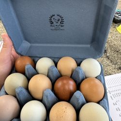 Grey Goose Farm - Farm Fresh Eggs