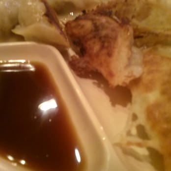 Dumpling King - Pork fried dumplings - Chinese Near Me - North Miami Beach, Florida