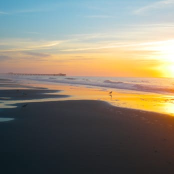 Myrtle Beach State Park - Parks Near Me - Myrtle Beach, South Carolina Myrtle Beach State Park - Parks Near Me - Myrtle Beach, South Carolina