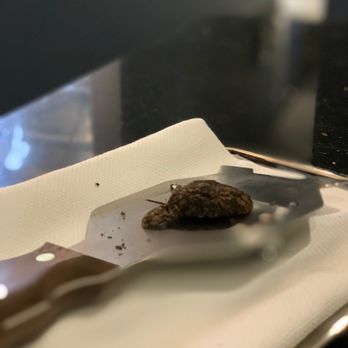 Mugen - Shaved truffle!!! - New American Near Me - Honolulu, Hawaii Mugen - Shaved truffle!!! - New American Near Me - Honolulu, Hawaii