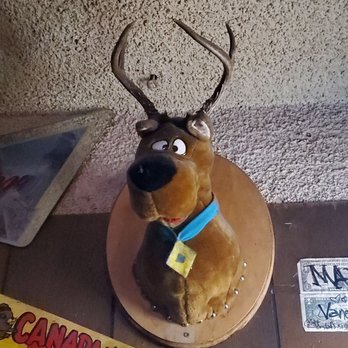 Doucet Saloon - a stuffed reindeer on a plate - Dive Bars Near Me - Castro Valley, California Doucet Saloon - a stuffed reindeer on a plate - Dive Bars Near Me - Castro Valley, California