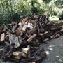 Photo of Quality Firewood