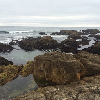 Asilomar State Beach - Nice place to sit. - Parks Near Me - Pacific Grove, California Asilomar State Beach - Nice place to sit. - Parks Near Me - Pacific Grove, California
