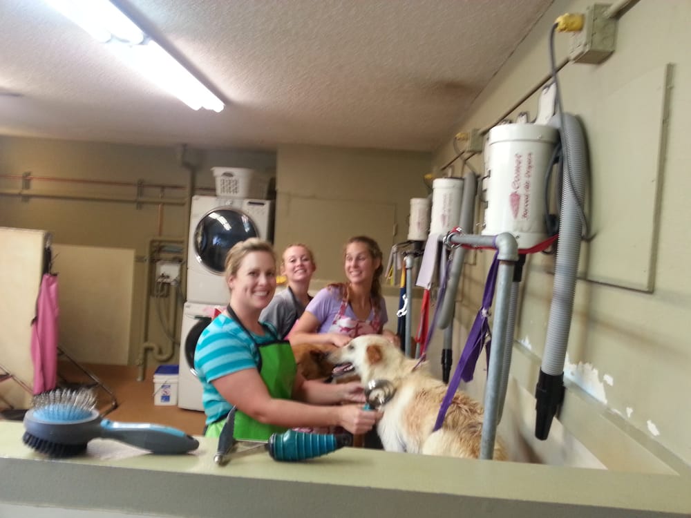 BATHE YOUR OWN DOG Updated September 2024 1100 Smelter Ave NE