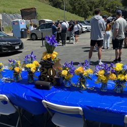 Oakland Flower Market - Arrangements of roses mums, blue dyed baby's breath and iris for our Cal blue and gold themed event