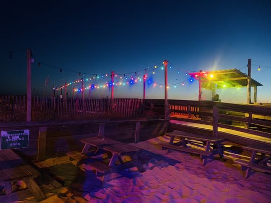 Flora-Bama by null