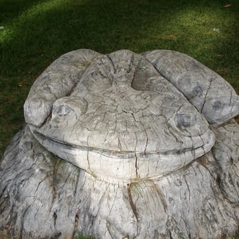 Philip Marx Central Park - Frog! - Parks Near Me - Tehachapi, California