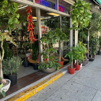 KimThai Garden - Store front adorn with plants - Nurseries & Gardening Near Me - Los Angeles, California KimThai Garden - Store front adorn with plants - Nurseries & Gardening Near Me - Los Angeles, California