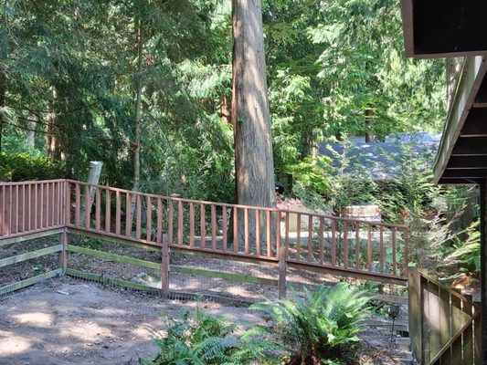 Precision Tree Service