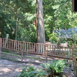 Precision Tree Service - Back property