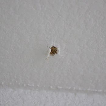 HomeShield Pest Control - Hole in ceiling - Pest Control Near Me - Rocklin, California HomeShield Pest Control - Hole in ceiling - Pest Control Near Me - Rocklin, California