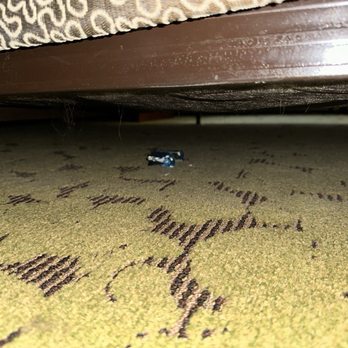 Hilton Garden Inn Auburn/Opelika - Underneath bed by the window - Hotels Near Me - Auburn, Alabama