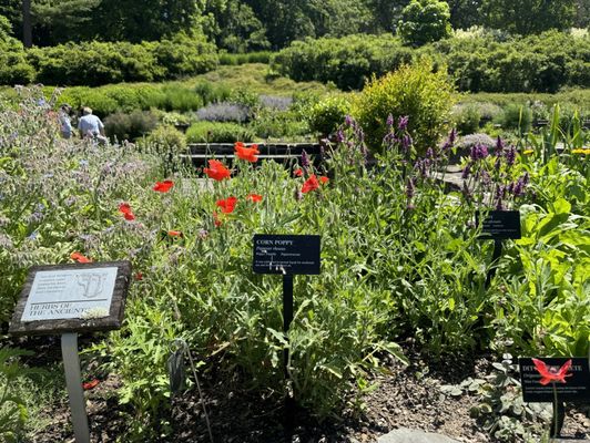 Cornell Botanic Gardens by null