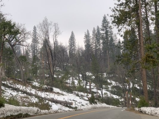 Wawona Campground by null
