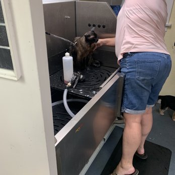 A1 Laundromutt - Pet Groomers Near Me - Santa Barbara, California A1 Laundromutt - Pet Groomers Near Me - Santa Barbara, California