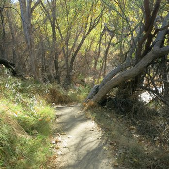 Big Morongo Canyon Preserve - Parks Near Me - Morongo Valley, California Big Morongo Canyon Preserve - Parks Near Me - Morongo Valley, California