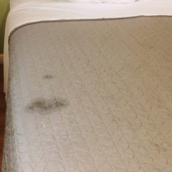 Rodeway Inn - Spots on the bed, wtf?! - Hotels Near Me - Alameda, California Rodeway Inn - Spots on the bed, wtf?! - Hotels Near Me - Alameda, California