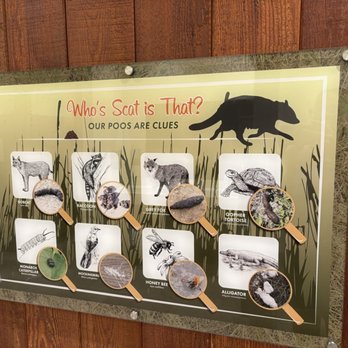 Gumbo Limbo Nature Center - Poo clues - Parks Near Me - Boca Raton, Florida Gumbo Limbo Nature Center - Poo clues - Parks Near Me - Boca Raton, Florida