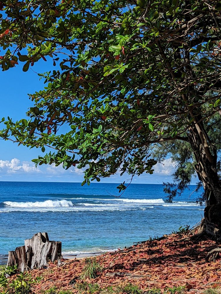 State of Hawaii - social services organization in Honolulu, HI