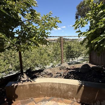 Hugo Lopez Landscaping - Bamboos be gone! - Landscaping Near Me Hugo Lopez Landscaping - Bamboos be gone! - Landscaping Near Me