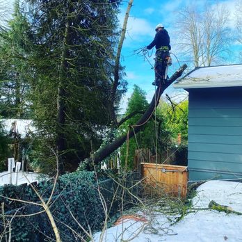 Chozen Gardens - Tree Service - Landscaping Near Me - Beaverton, Oregon Chozen Gardens - Tree Service - Landscaping Near Me - Beaverton, Oregon