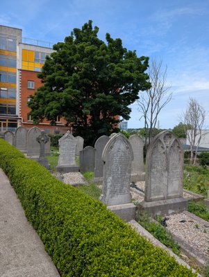 Pearse Lyons Whiskey Distillery by null