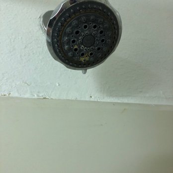 Motel 6 - Mold growing on the shower head - Hotels Near Me - Morristown, Tennessee