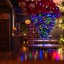 The Velvet Hippo Bar & Lounge
