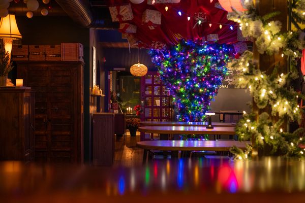 The Velvet Hippo Bar & Lounge by null