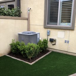 new hedge plant to cover our unsightly A/C unit. Can't wait for it to grow in. new hedge plant to cover our unsightly A/C unit. Can't wait for it to grow in.