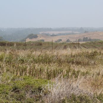 Wilder Ranch State Park - Parks Near Me - Santa Cruz, California Wilder Ranch State Park - Parks Near Me - Santa Cruz, California