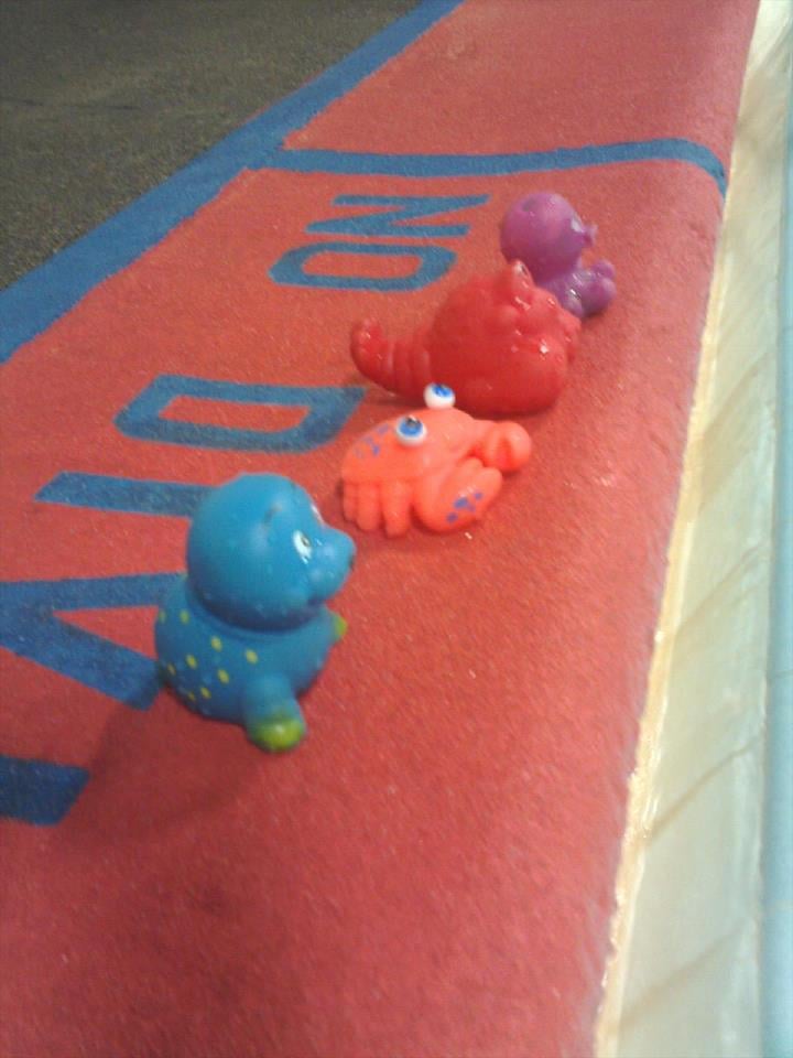 RIVER ROAD PARK & RECREATION DISTRICT Updated July 2024 16 Reviews