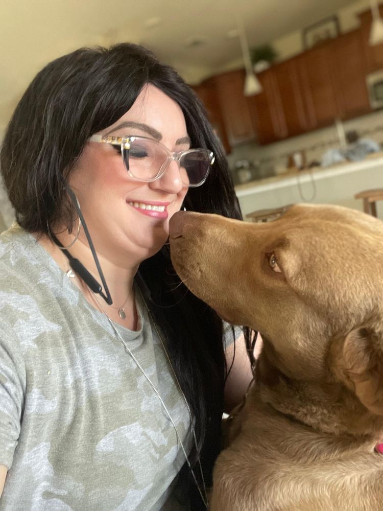 Professional Pet Care Consulting - pet boarding facility in Port Richey, FL